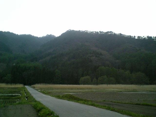 実にのどかな風景